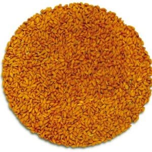 Semences de pousses de cresson biologique