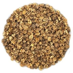 Semences pour pousses_Betterave biologique