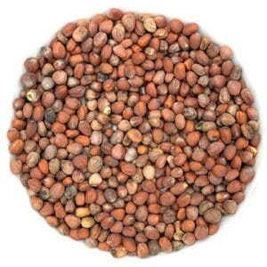 Semences pour Pousses de radis biologique