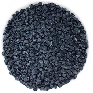 semences de poireau biologique