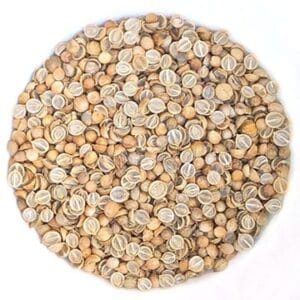 Semences de coriandre biologique