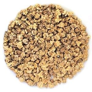 Semences de betterave biologique