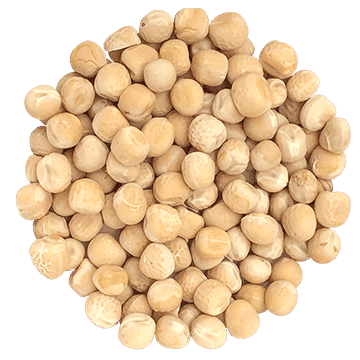 Semences de pois jaune biologique