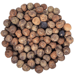 Semences de pois vert biologique