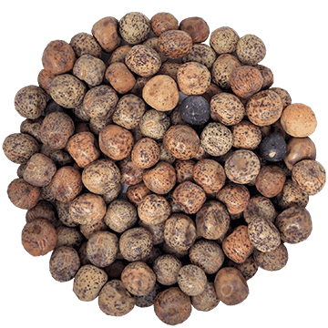 Semences de pois vert biologique