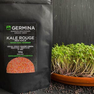 Kale rouge