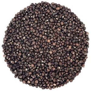 Shiso Vert biologique