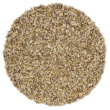 Giant Parsley, Italian