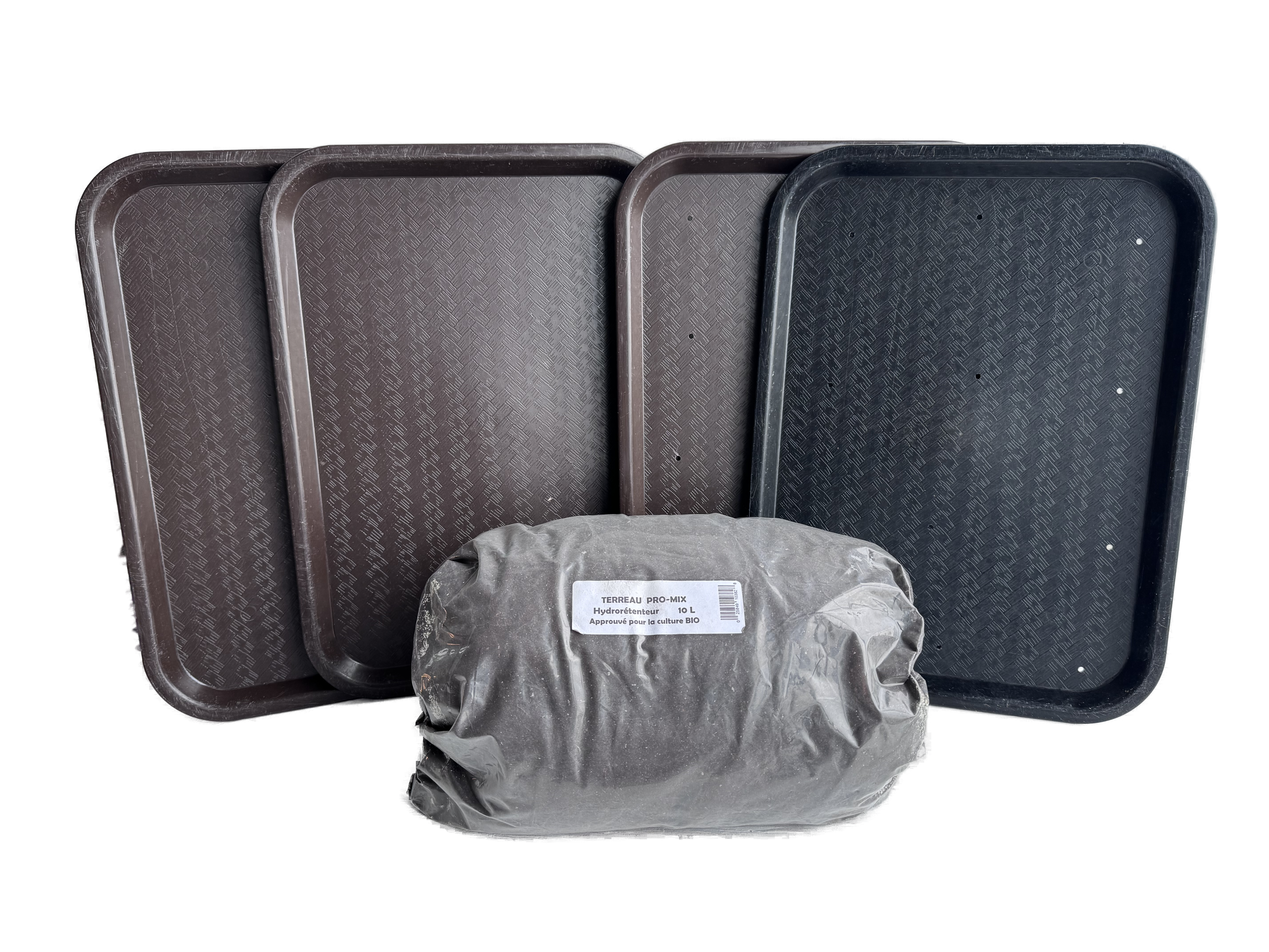 Starter kit for microgreens