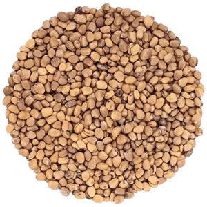 Radis Venin biologique