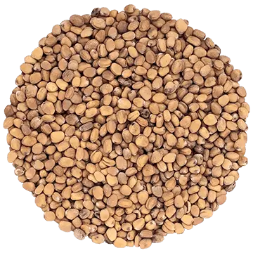 Radis Venin biologique