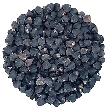 Sarrasin biologique Sarrasin biologique