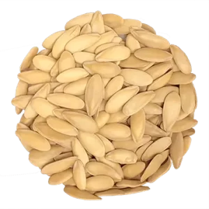 Melon Cantaloupe biologique