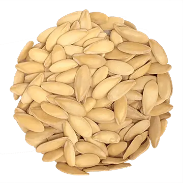 Melon Cantaloupe biologique