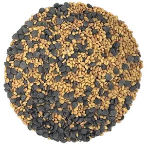 Mélange Luzernette biologique (Luzerne & Ciboulette)