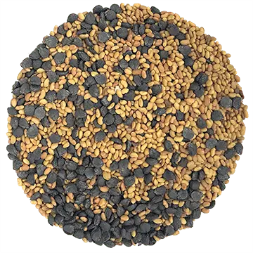 Mélange Luzernette biologique (Luzerne & Ciboulette)