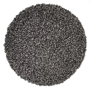 Basilic Cannelle biologique