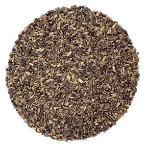 Chicorée Rouge biologique