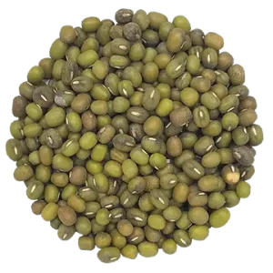 Fève Mung biologique